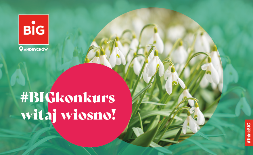 Grafika Na Www Konkurs Wiosna Marzec 2024 A2