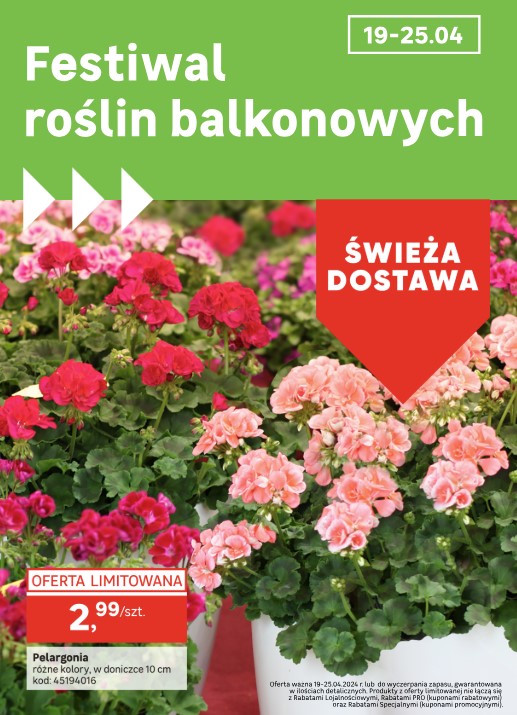 Automatycznie zapisany szkic