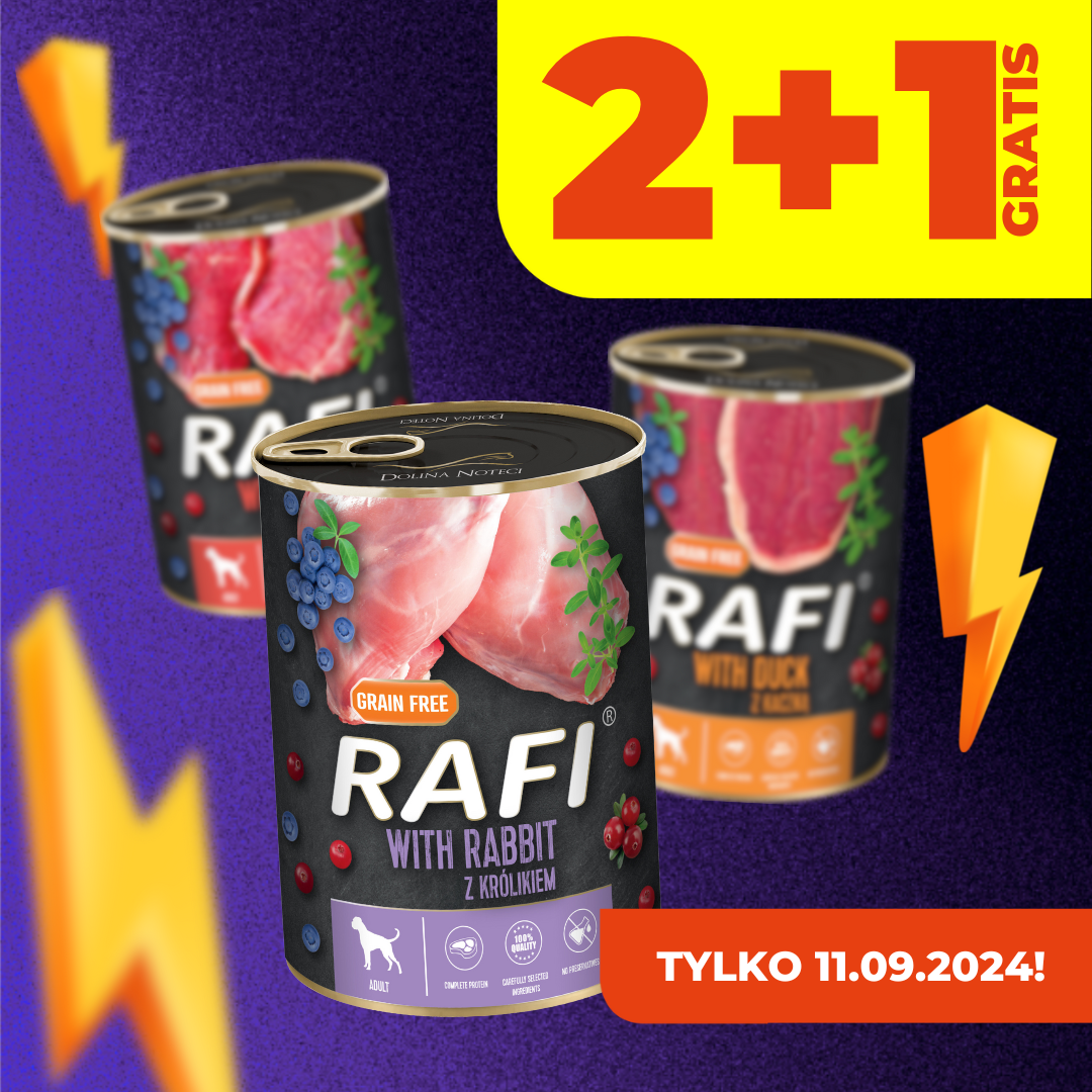 CODZIENNIE! KUPUJ WIĘCEJ I PŁAĆ MNIEJ!