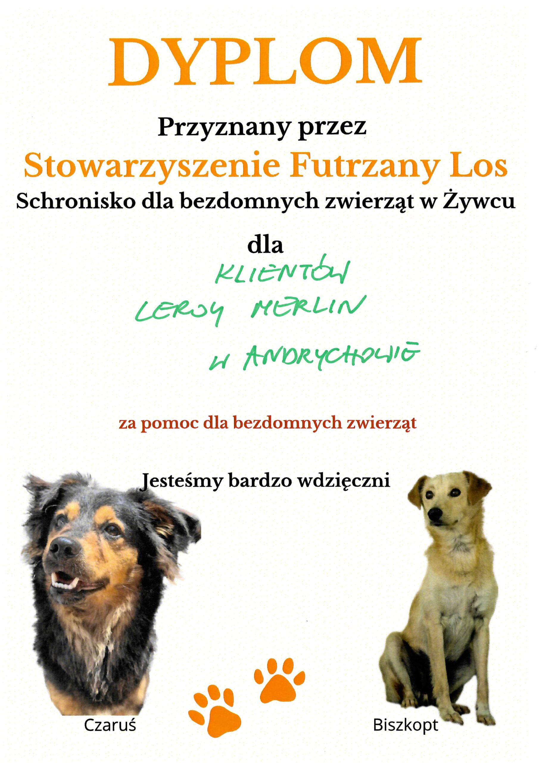 Podsumowanie Akcji Paczka dla Zwierzaczka!