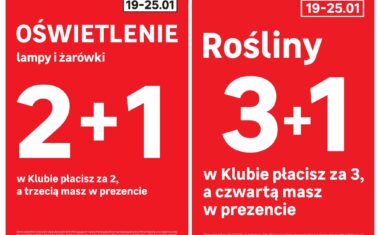 Automatycznie zapisany szkic