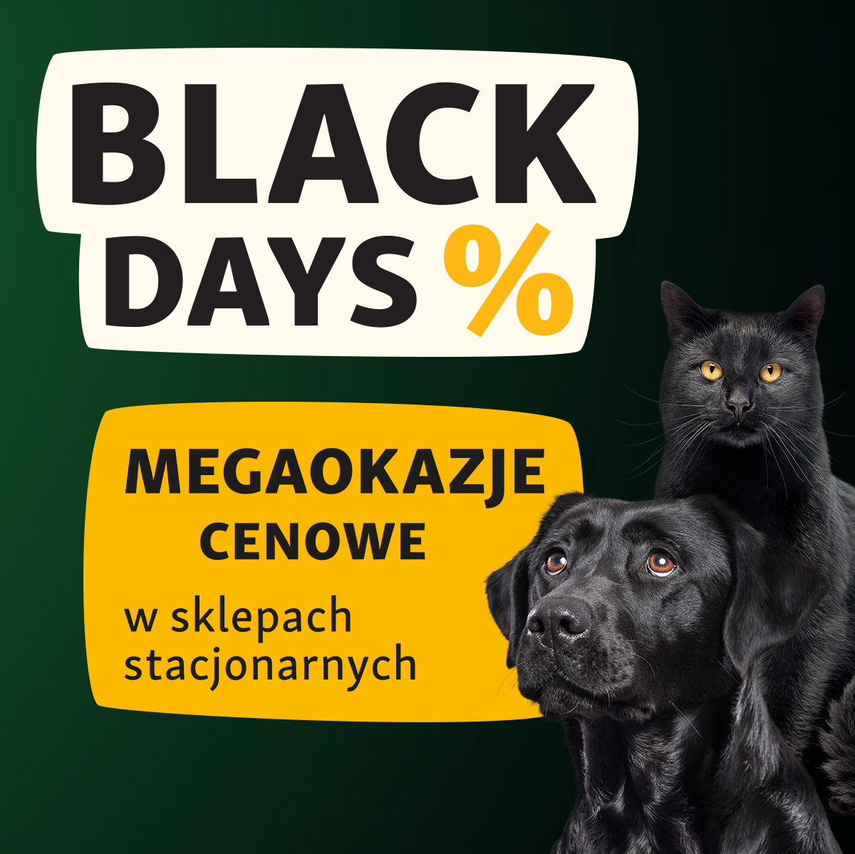 BLACK DAYS w Maxi Zoo!