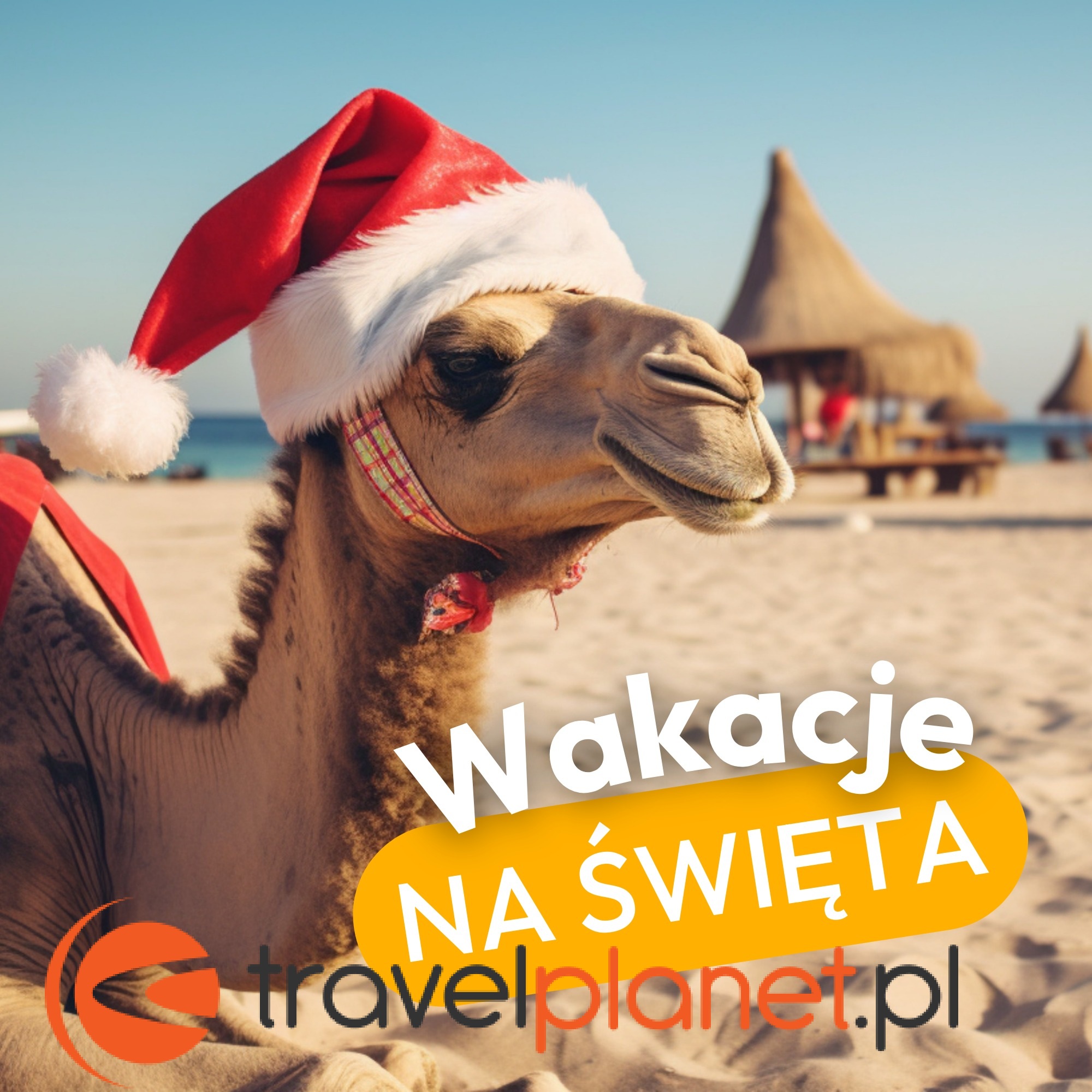 Brak planów na Święta?