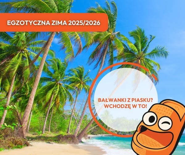 Automatycznie zapisany szkic