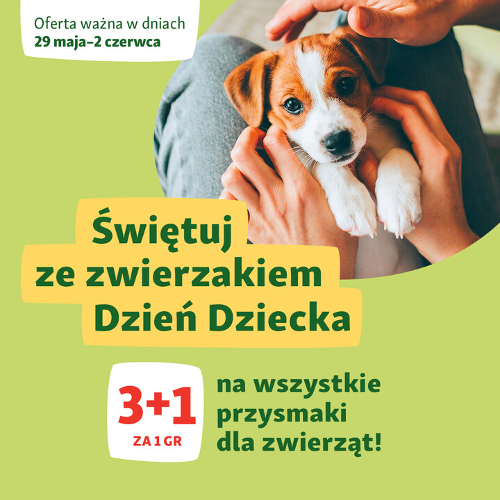 Podaruj swojemu pupilowi pyszne smaczki z okazji Dnia Dziecka!