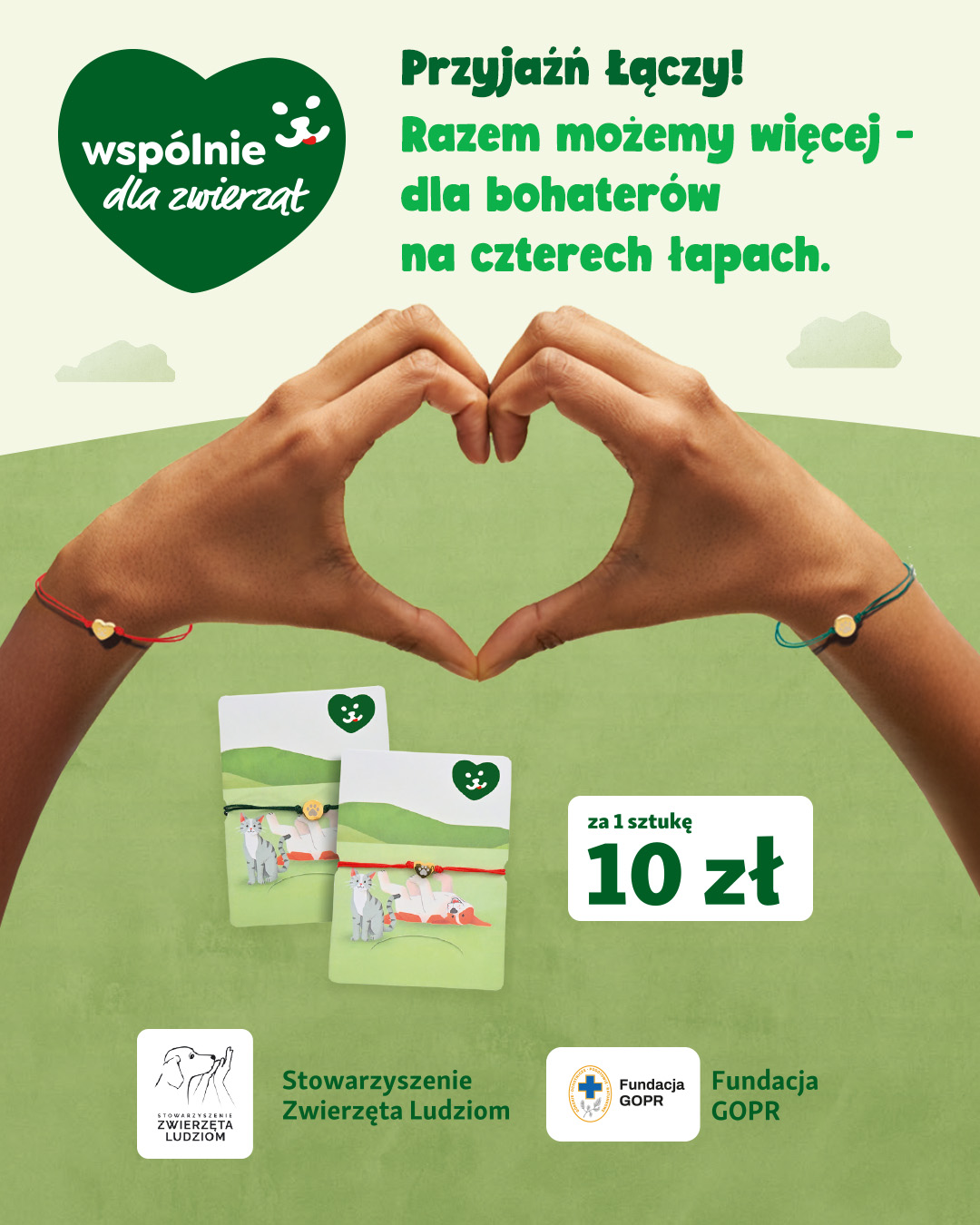 Akcja charytatywna „Wspólnie dla Zwierząt” w Maxi Zoo!