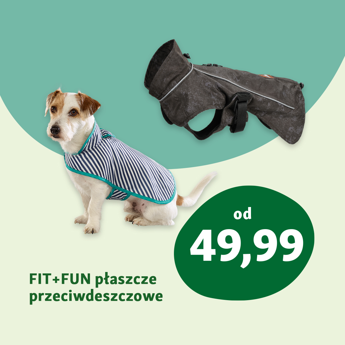 Nowa gazetka Maxi Zoo!