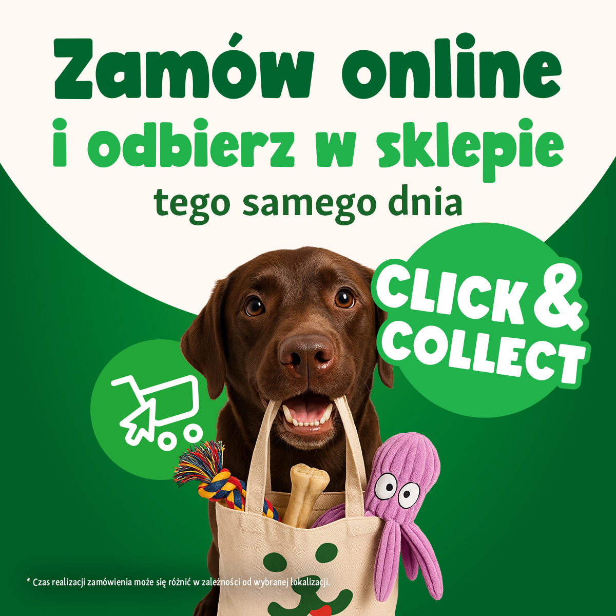 Maxi Zoo od choinkę