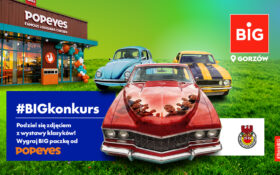 Automatycznie zapisany szkic