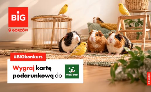 Take part in our BIG contest and grab a Maxi Zoo gift card!