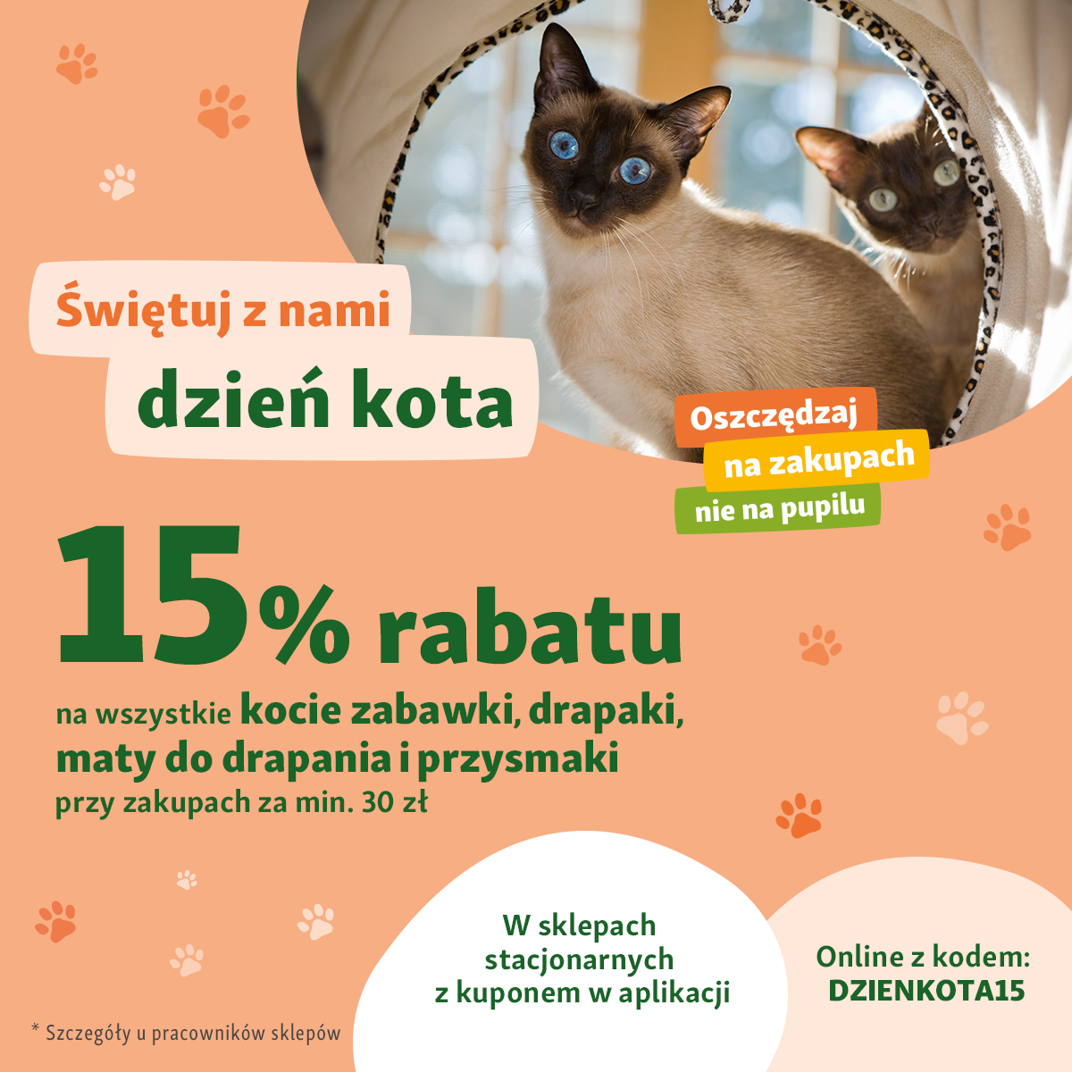 Złap 15% rabatu na produkty dla kota i zrób prezent pupilowi!
