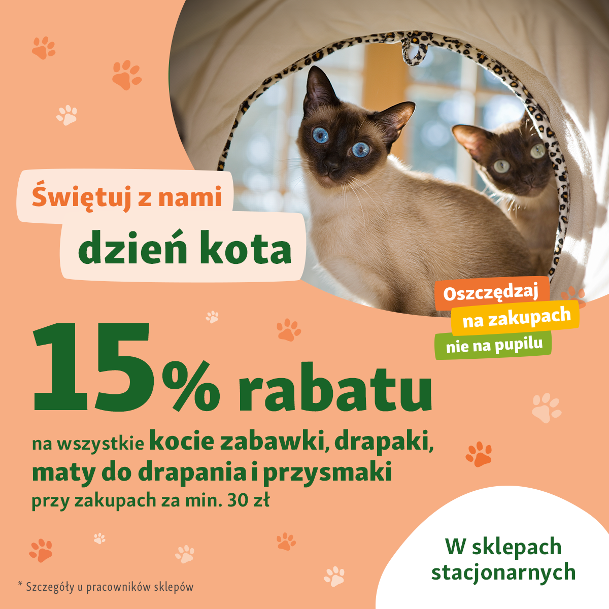 Świętujemy do 5 marca! 🎉🐱Złap 15% rabatu na kocie zabawki, drapaki, maty do drapania i przysmaki i zrób prezent pupilowi!