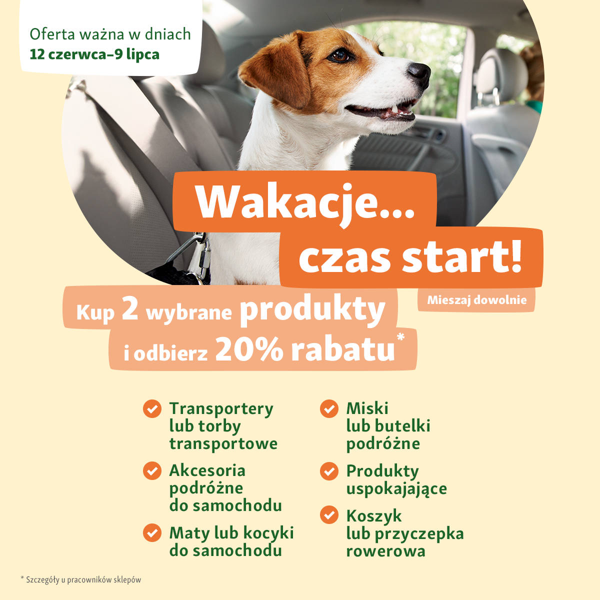 Automatycznie zapisany szkic