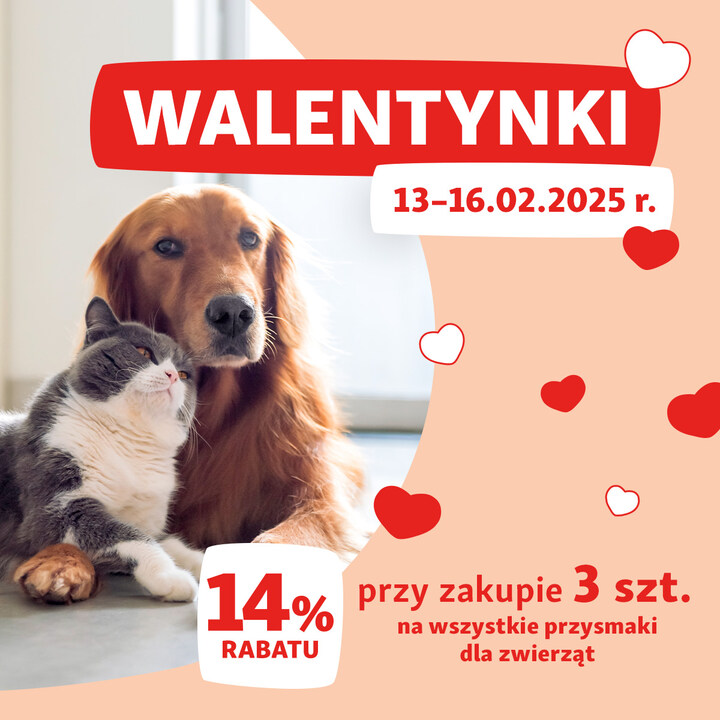 Zrób pupilowi walentynkowy prezent!
