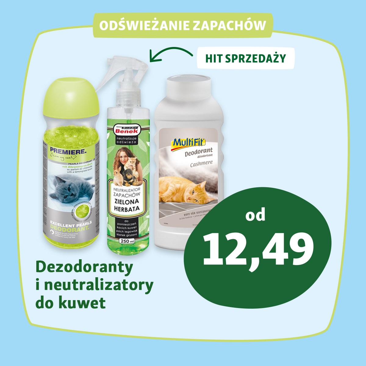 Automatycznie zapisany szkic