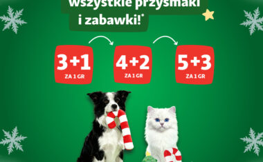 Pomysł na prezent w Maxi Zoo!