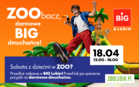 Dmuchańce i wizyta w ZOO? To jest BIG!