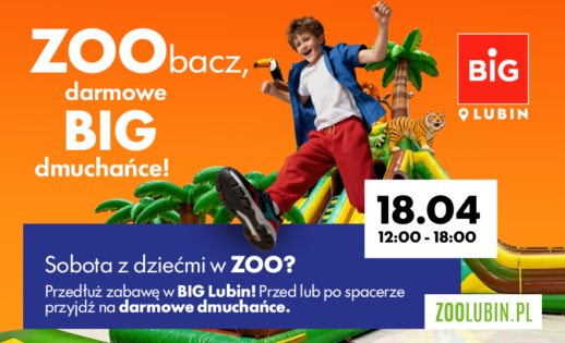 Dmuchańce i wizyta w ZOO? To jest BIG!