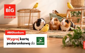 Weź udział w naszym BIG konkursie i zgarnij kartę podarunkową do Maxi Zoo!