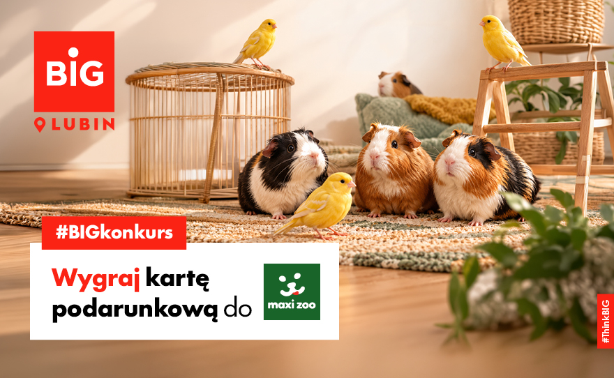 Weź udział w naszym BIG konkursie i zgarnij kartę podarunkową do Maxi Zoo!