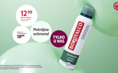 Automatycznie zapisany szkic