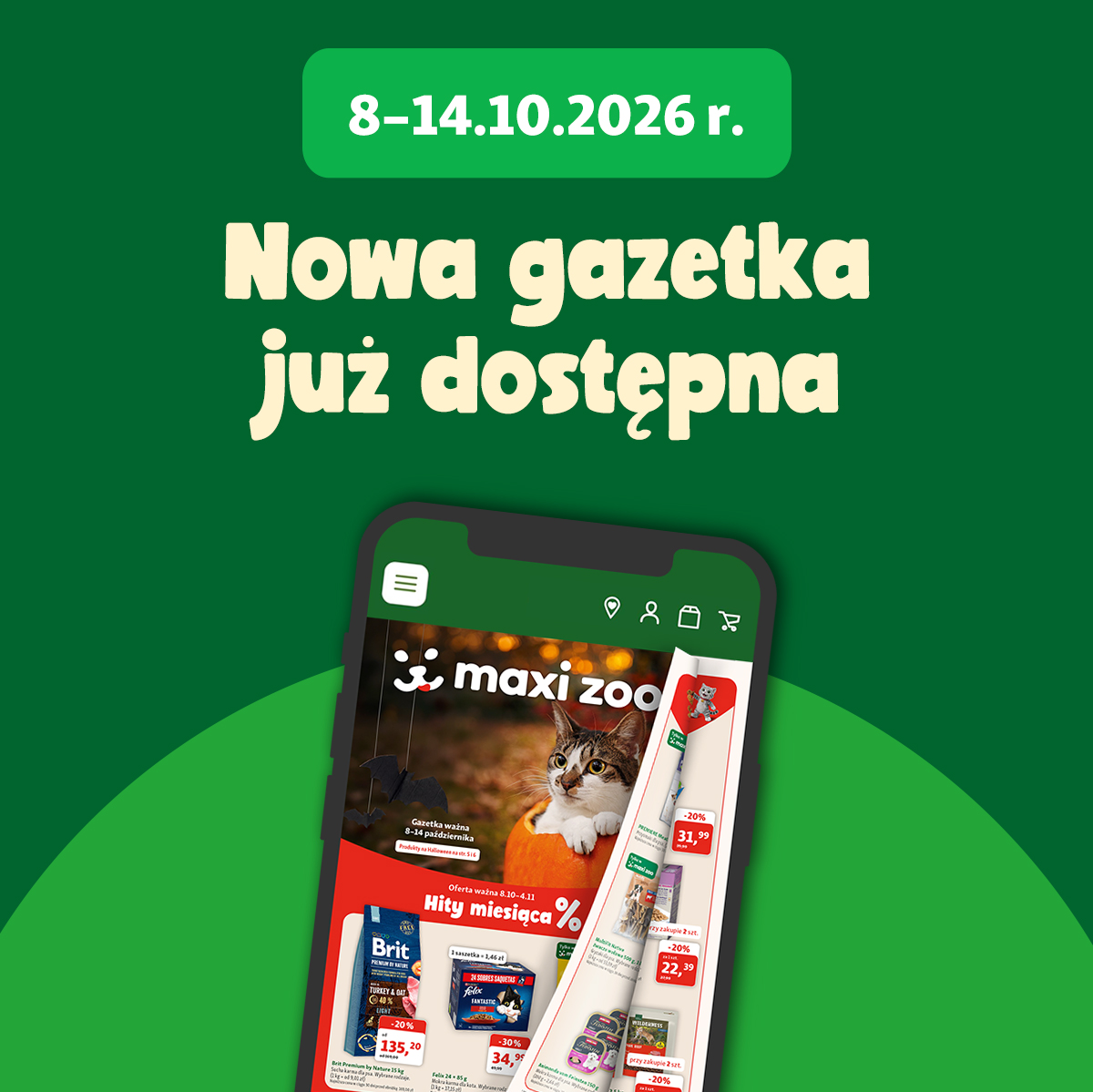 Automatycznie zapisany szkic