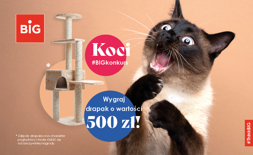 BIG-konkurs-www-880x542-1