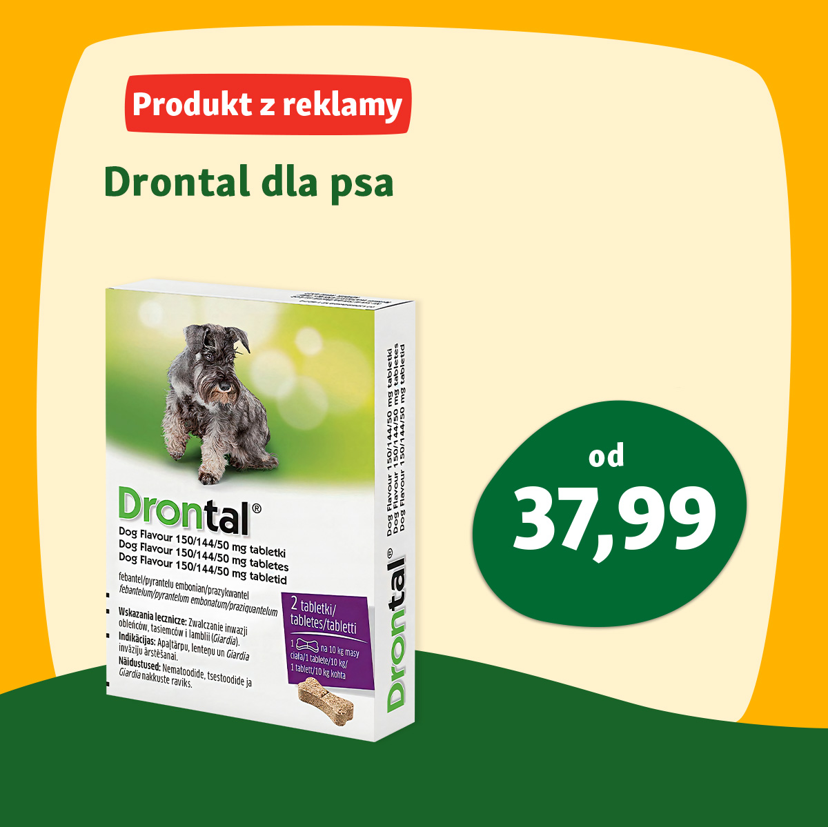 Nowa gazetka Maxi Zoo!