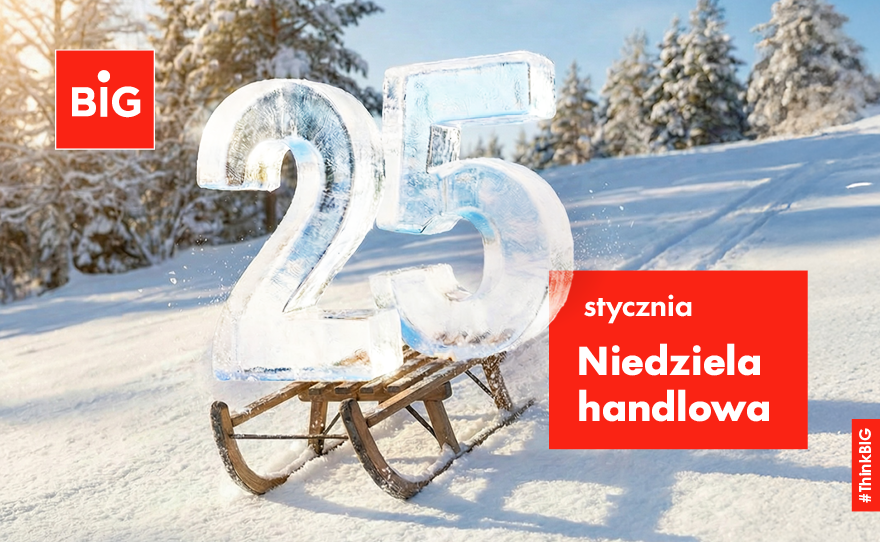BIG-ndz-handlowa-www-880x542-1