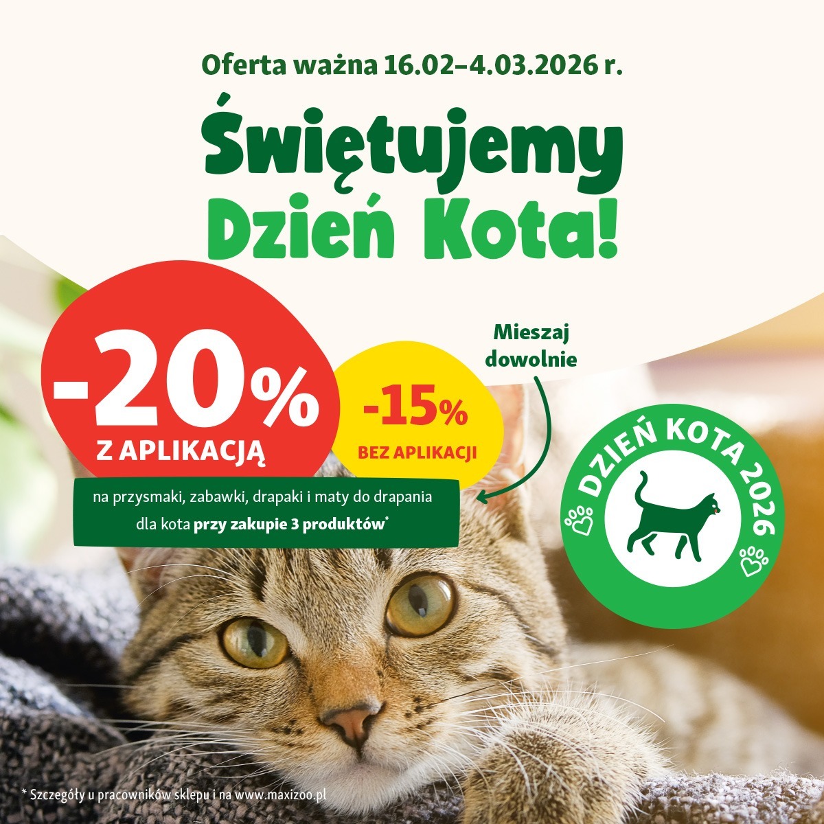 Dzień Kota w Maxi Zoo!