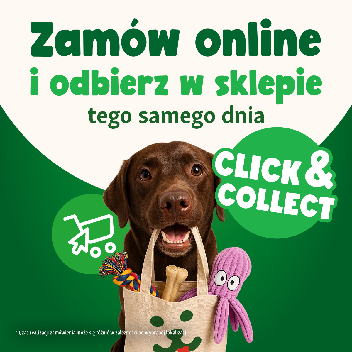 Nowa gazetka w Maxi Zoo!