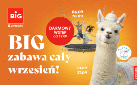 BIG-Myszkow-news-880x542-1-280x175