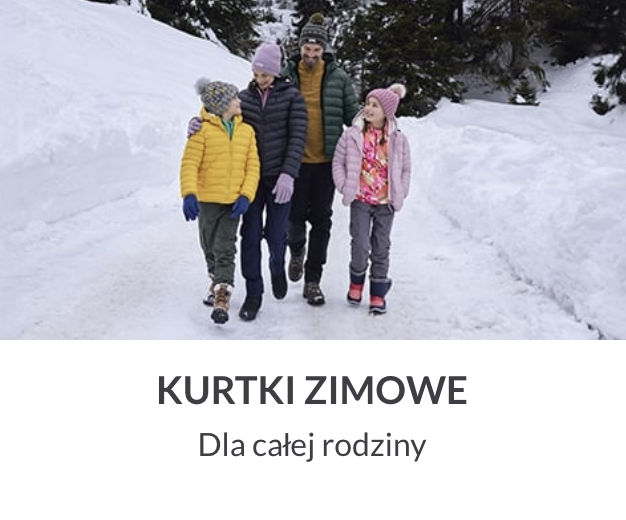 Automatycznie zapisany szkic