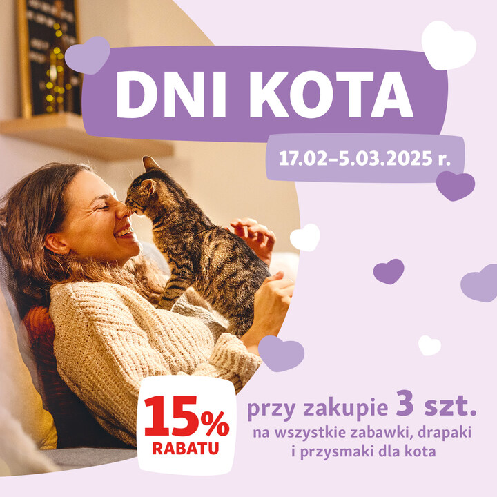 Złap ekstrapromocję z okazji Dnia Kota w Maxi Zoo!