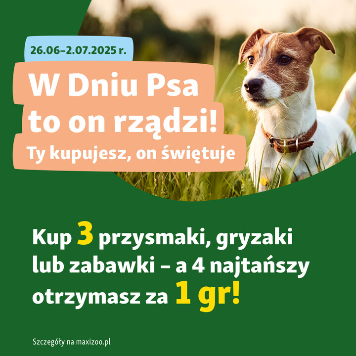 Dzień Psa w Maxi Zoo!