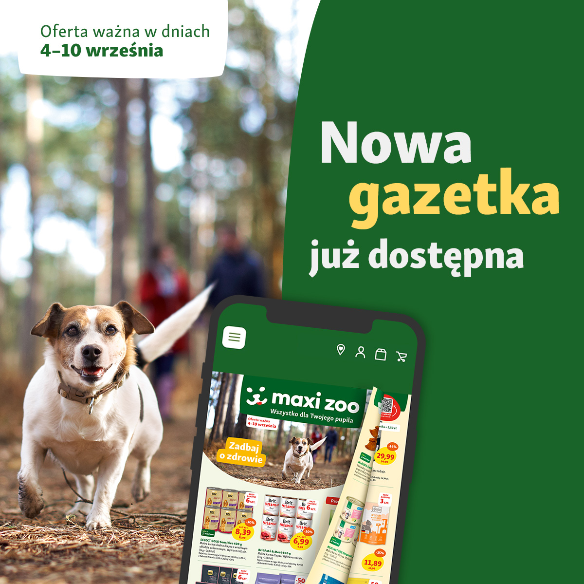 Super promocje w Maxi Zoo!