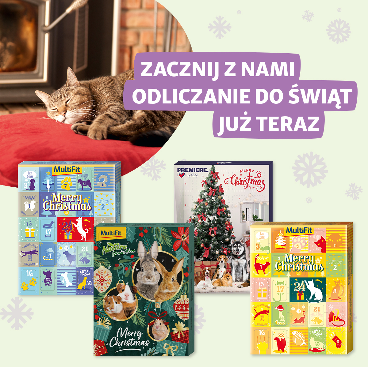 Automatycznie zapisany szkic