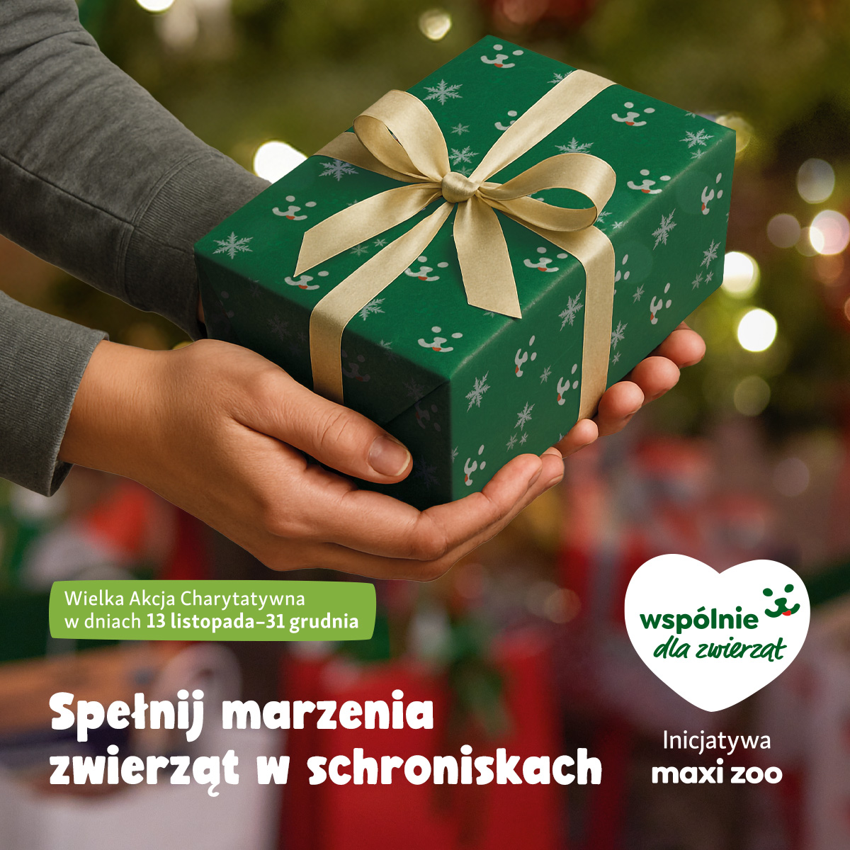 Automatycznie zapisany szkic