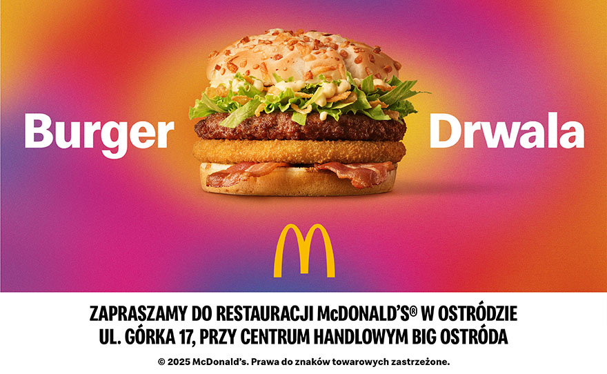 Automatycznie zapisany szkic