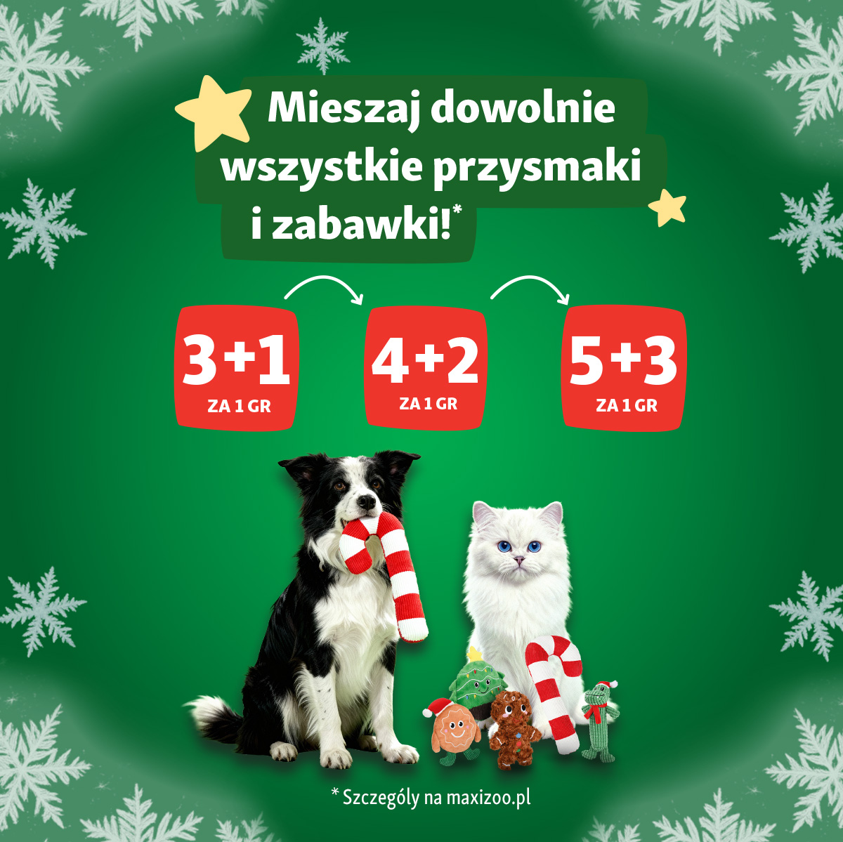 Nowa promocja w Maxi Zoo!