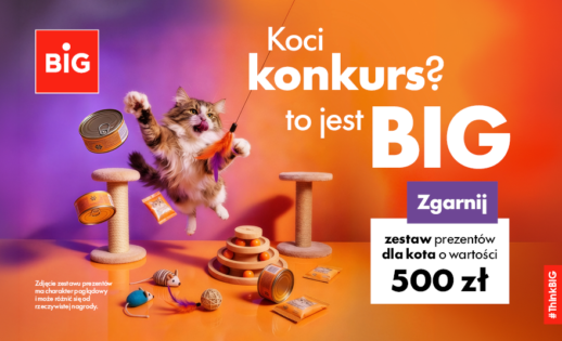 Konkurs-Kot-news-880x542-1-518x315