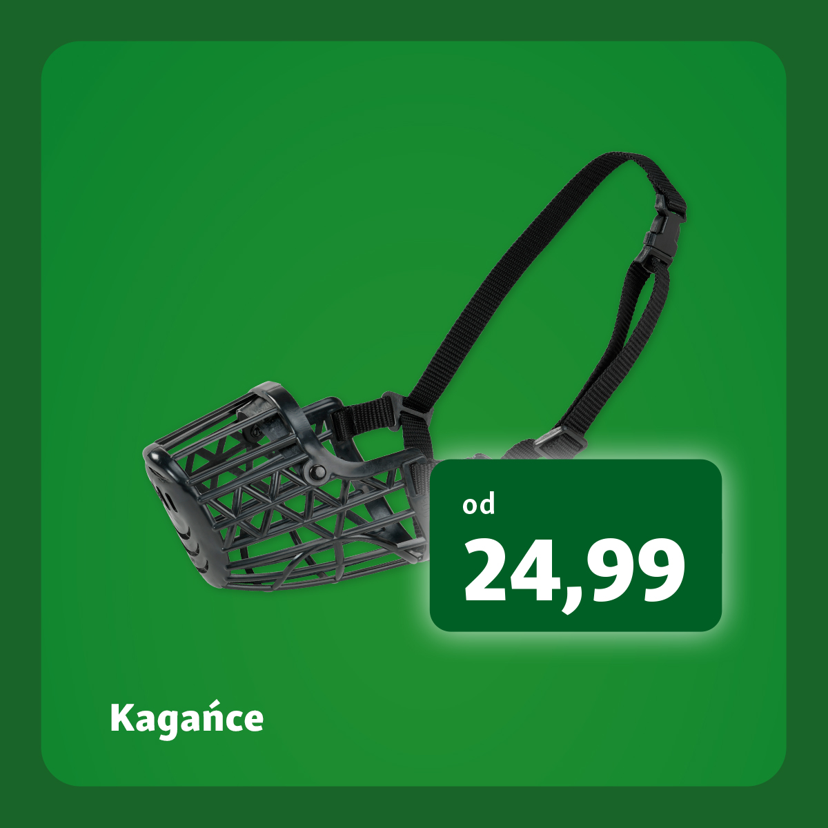 -20% na akcesoria podr&oacute;żne w Maxi Zoo!