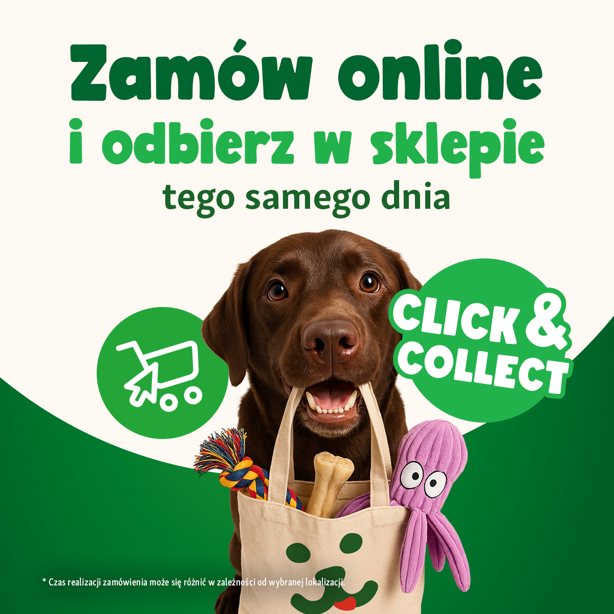 -20% na akcesoria podróżne w Maxi Zoo!