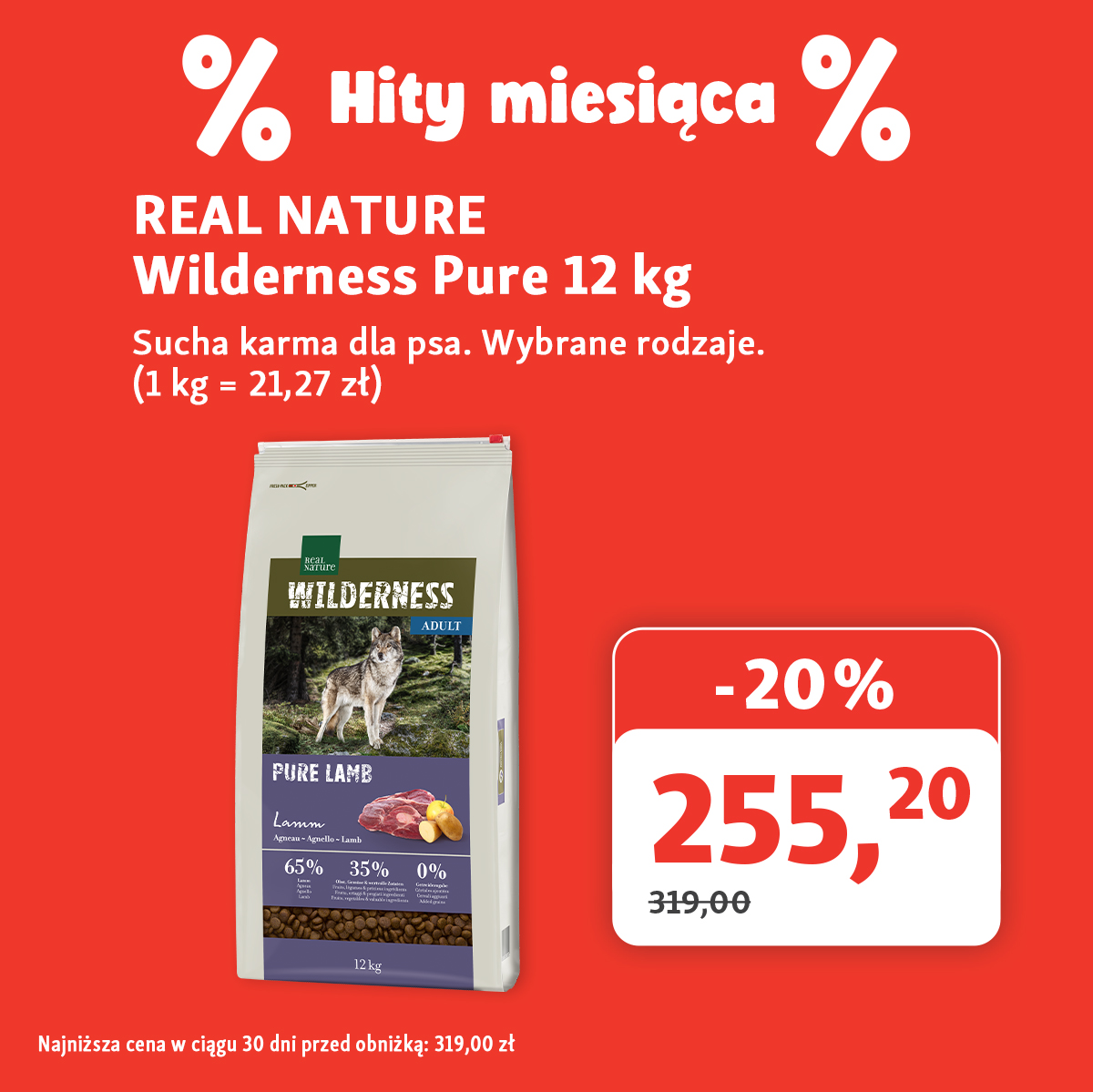 Automatycznie zapisany szkic